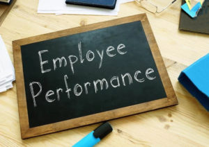 Employee Performance Management Software